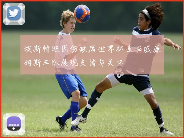 埃斯特旺因伤缺席世界杯亲临威廉姆斯车队展现支持与关怀