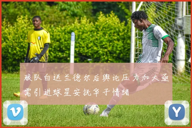 狼队白送兰德尔后舆论压力加大亟需引进球星安抚华子情绪