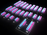 Xét nghiệm Karyotype